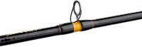 Ugly Stik Bigwater Boat CAST Conventional Rod                                                                                   