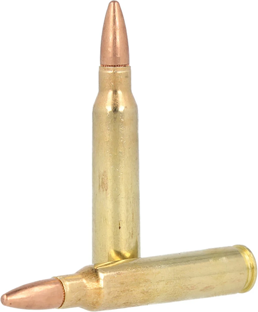Remington .223 Rem 55-Grain Centerfire Rifle Ammunition - 1000 Rounds                                                           