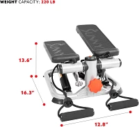 Sunny Health & Fitness Total Body Stair Stepper Machine                                                                         