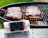 GrillEye Max Wireless Grilling & Smoker Smart Thermometer with 2 Probes                                                         