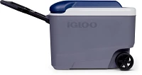 Igloo 40 qt Maxcold Roller Cooler                                                                                               