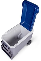 Igloo 40 qt Maxcold Roller Cooler                                                                                               