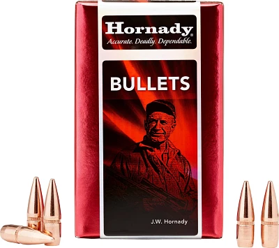 Hornady FMJ Handgun 10mm Auto .400 180-Grain Rifle Ammunition - 100 Rounds                                                      