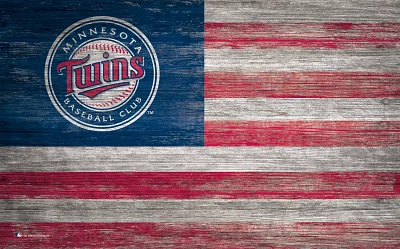 Fan Creations Minnesota Twins 11 in x 19 in Distressed Flag Sign                                                                