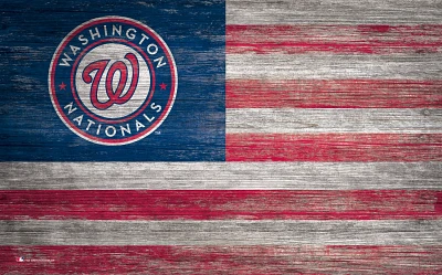 Fan Creations Washington Nationals 11 in x 19 in Distressed Flag Sign                                                           