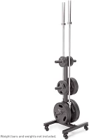 Marcy Vertical Tree Olympic Plate Rack                                                                                          