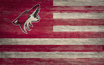 Fan Creations Arizona Coyotes 11 in x 19 in Distressed Flag Sign                                                                