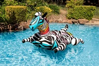 Poolmaster Oversized Zany Zebra Jumbo Pool Float                                                                                