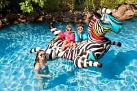 Poolmaster Oversized Zany Zebra Jumbo Pool Float                                                                                