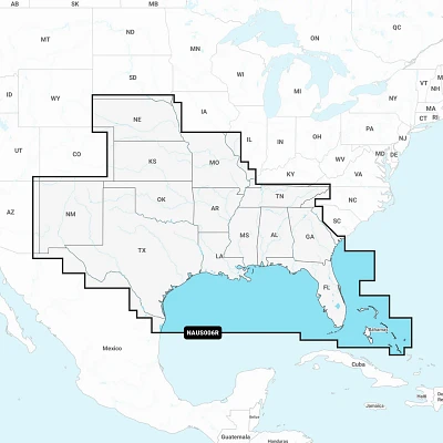 Garmin NAUS006R U.S. South Map SD Card                                                                                          