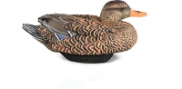 Lifetime Mallard HydroFoam Ultra-light Decoy 6-Pack                                                                             