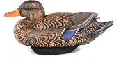 Lifetime -Winged Teal HydroFoam Ultra-light Decoy 6-Pack