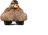 Lifetime -Winged Teal HydroFoam Ultra-light Decoy 6-Pack