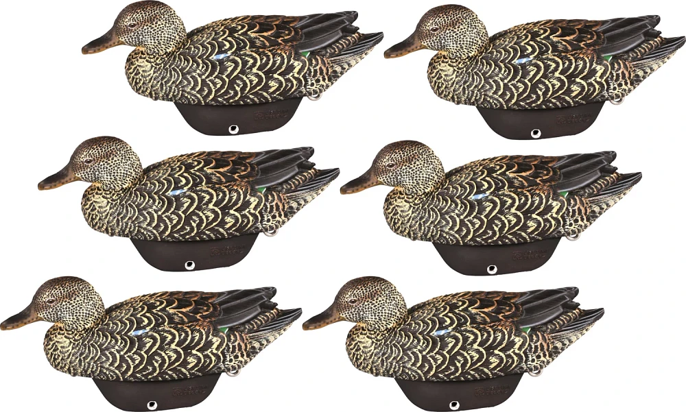 Lifetime Early Season Teal HydroFoam Ultra-light Decoy 6-Pack                                                                   