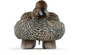 Lifetime Pintail HydroFoam Ultra-light Decoy 6-Pack                                                                             