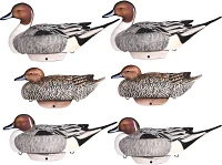 Lifetime Pintail HydroFoam Ultra-light Decoy 6-Pack                                                                             