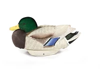 Lifetime Flocked Mallard HydroFoam Ultra-light Decoy 6-Pack                                                                     