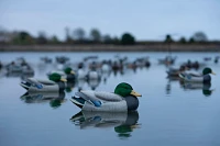 Lifetime Flocked Mallard HydroFoam Ultra-light Decoy 6-Pack                                                                     