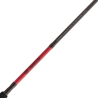 PENN Fierce IV Spinning Rod and Reel Combo                                                                                      