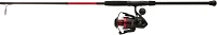 PENN Fierce IV Spinning Rod and Reel Combo                                                                                      