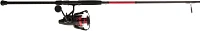 PENN Fierce IV Live Liner Spinning Rod and Reel Combo                                                                           