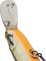 H2OX Premium Floating Jerk Shad Bait