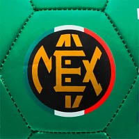 PUMA 2022 World Cup Mexico Mini Soccer Ball                                                                                     