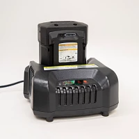 ION Gen 1/Gen 3 40V Lithium-Ion Battery Charger                                                                                 