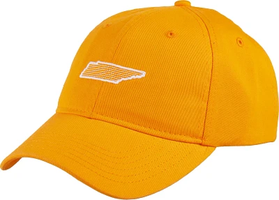 Academy Sports + Outdoors Men's Tennessee Cap                                                                                   