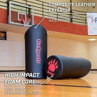 GoSports Big Paws Padded Arm Blocking Guards 2-Pack                                                                             