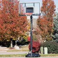 Lifetime 54 in Portable Polycarbonate Basketball Hoop                                                                           