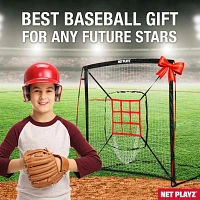 NetPlayz ft x ft Baseball Hitting/Pitching Net