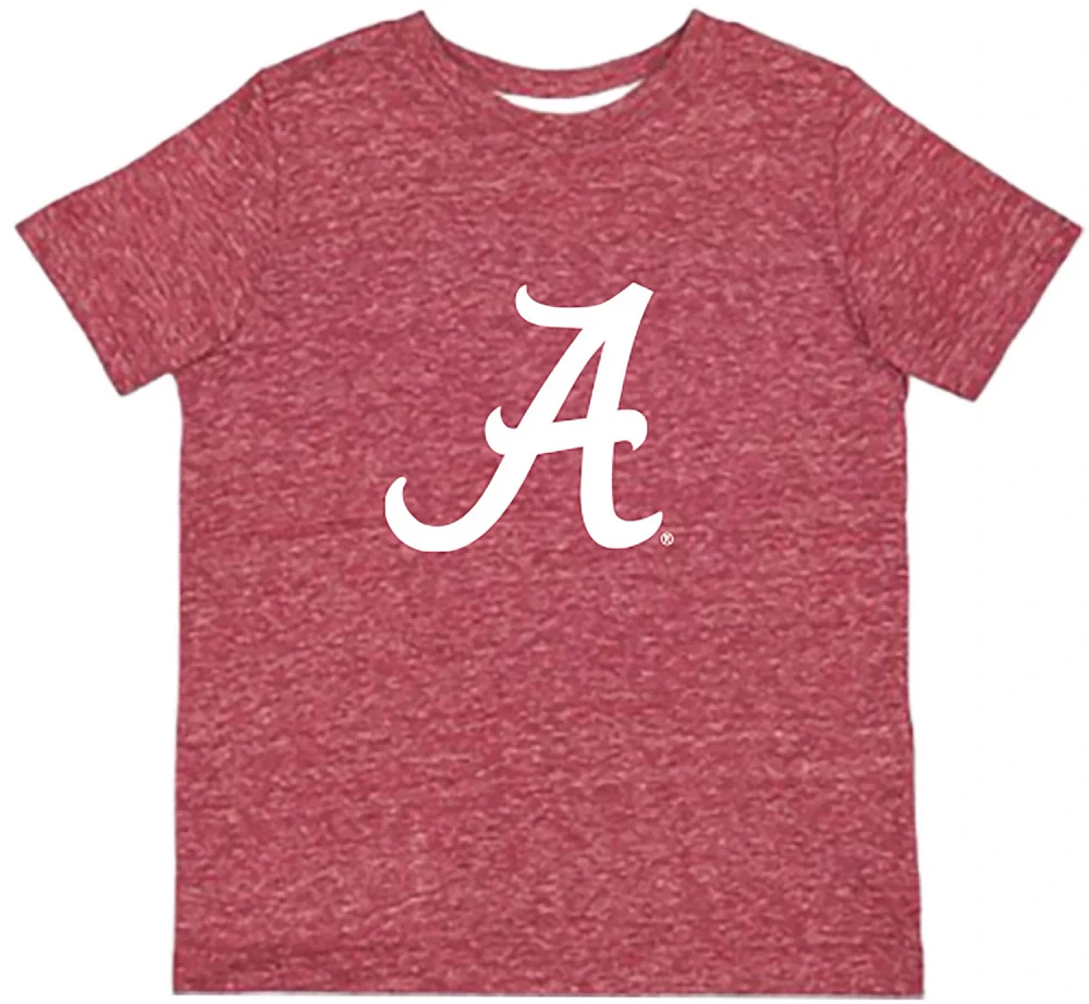 Atlanta Hosiery Company Toddler Boys' University of Alabama Vintage Graphic T-shirt                                             