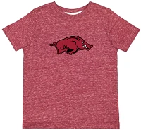 Atlanta Hosiery Company Toddler Boys' University of Arkansas Vintage Graphic T-shirt                                            