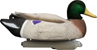 Higdon Outdoors Battleship Mallard Foam Filled Flocked Head 6-Pack                                                              