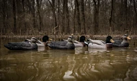 Higdon Battleship Powers Pack, Foam Filled, 3 Mallard Drakes, Flocked Heads, 3 Black Ducks 6-Pack                               