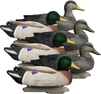 Higdon Battleship Powers Pack, Foam Filled, 3 Mallard Drakes, Flocked Heads, 3 Black Ducks 6-Pack                               