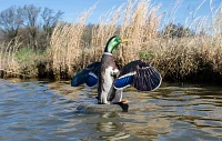 Higdon XS Floating Flasher Mallard Drake Duck 12-Volt Decoy                                                                     