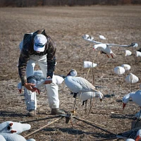 Higdon The Persauder Motorized Decoy Stand                                                                                      