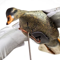 Higdon Clone Mallard Hen Decoy                                                                                                  