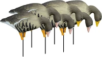 Higdon APEX Full Size Full Body TruFeeder, Specklebelly 6-Pack                                                                  