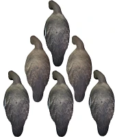 Higdon APEX Full Size Full Body TruFeeder, Specklebelly 6-Pack                                                                  