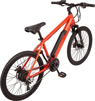 Schwinn Healy Ridge 24 E-Bike