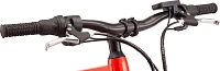 Schwinn Healy Ridge 24 E-Bike