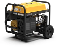 Firman 10,000-8,000 Watts 120/240V Gas Portable Generator                                                                       