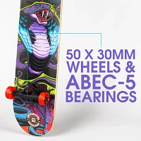 Madd Gear Beginner 31 Skateboard