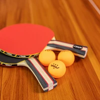 Stiga Performance -Player Table Tennis Set