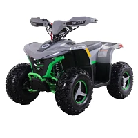 GOTRAX Rift 750 Electric ATV                                                                                                    