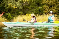 Pelican Standard Kayak Paddle