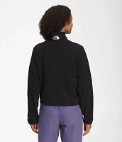 The North Face Women's Alpine Polartec 100 1/4 Zip Pullover                                                                     